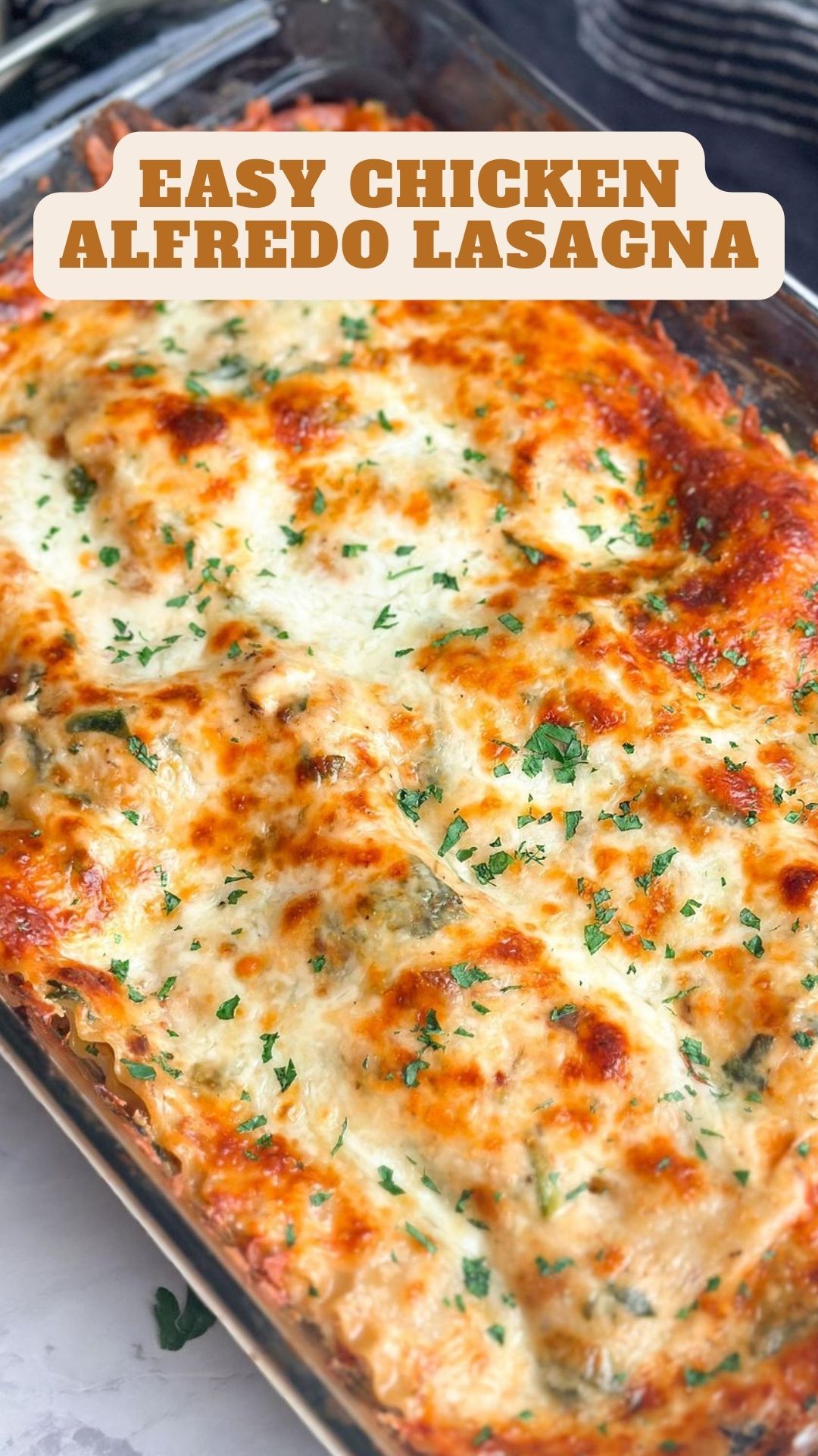 Chicken Alfredo Lasagna