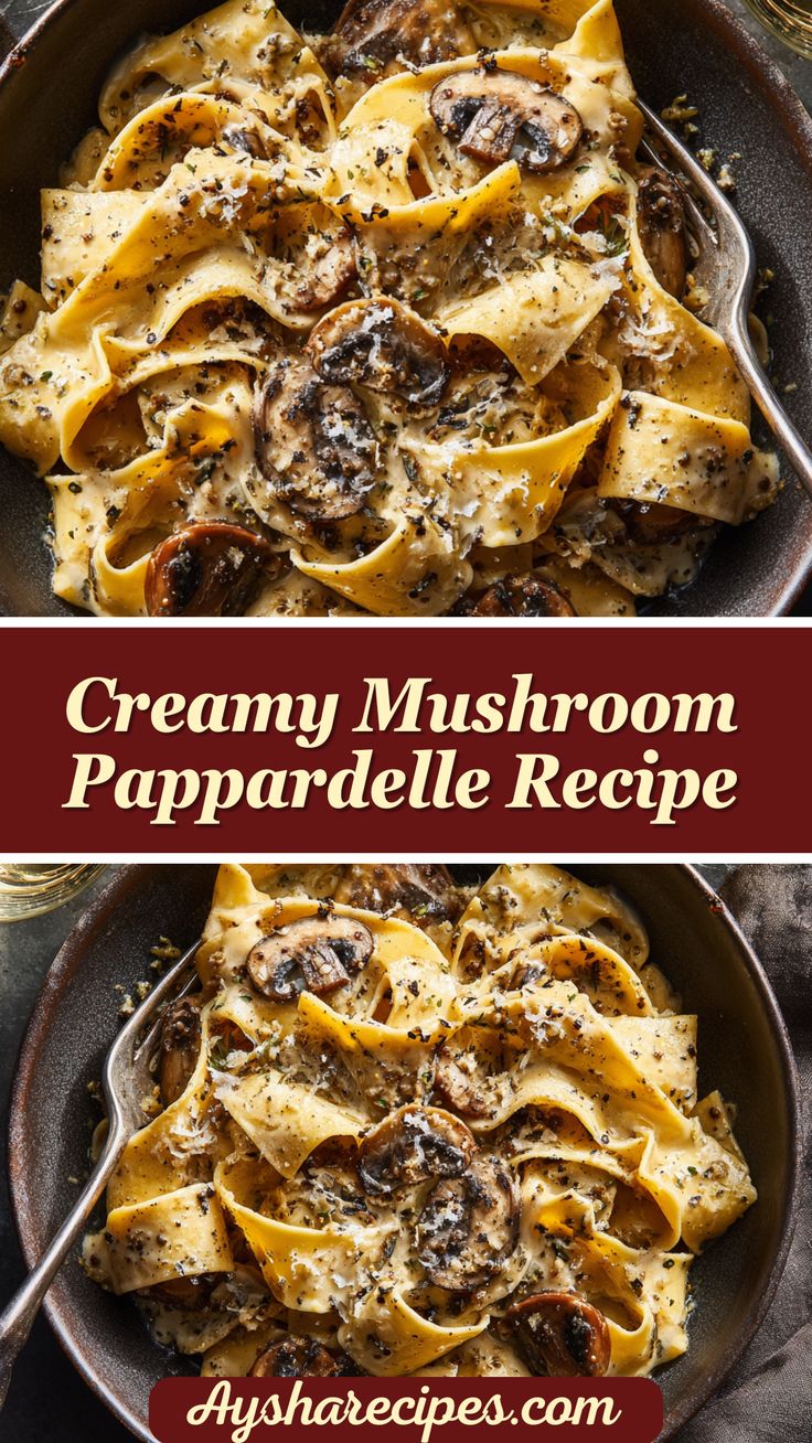 Creamy Pappardelle with Mushroom Sauce